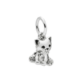 Charm Gato