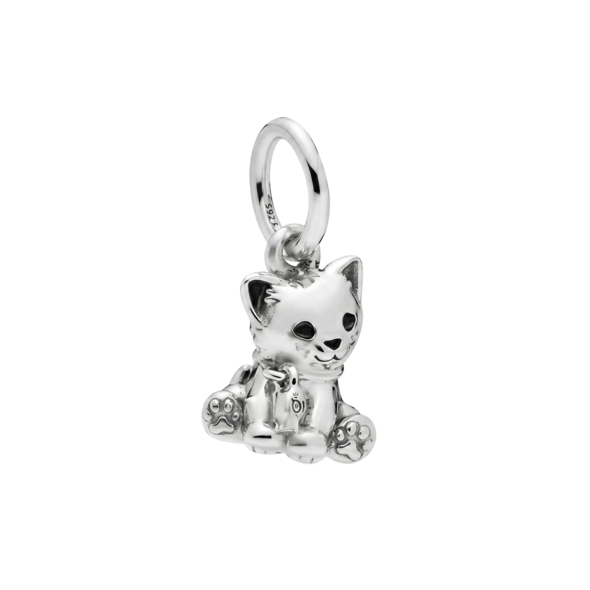 Charm Gato