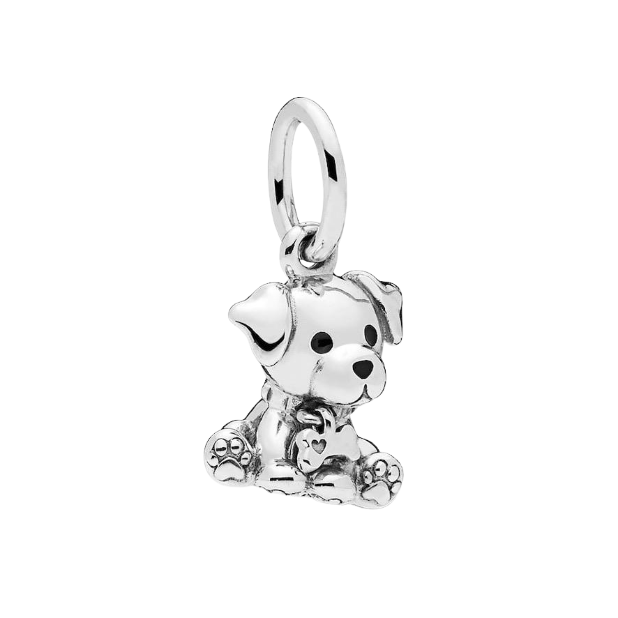 Charm Perro