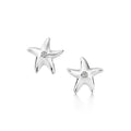 Aretes Estrella
