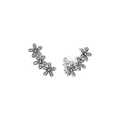 Arete Pandora