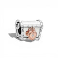 Charms Pandora