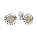 Arete Pandora