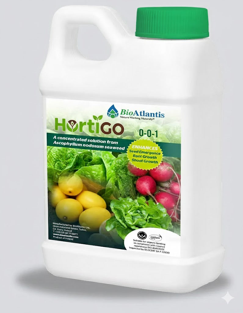 Pulsera Love Lock Tiffany